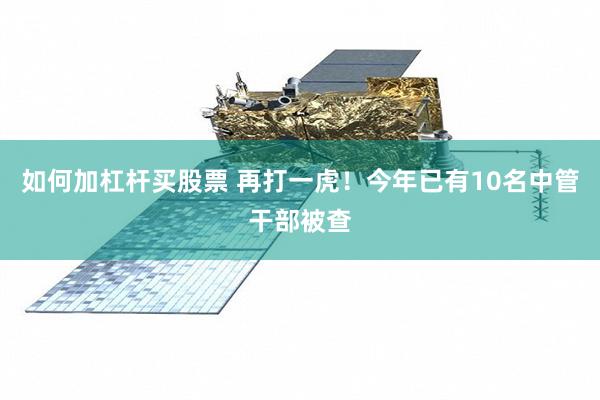 如何加杠杆买股票 再打一虎！今年已有10名中管干部被查