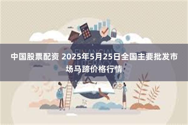 中国股票配资 2025年5月25日全国主要批发市场马蹄价格行情