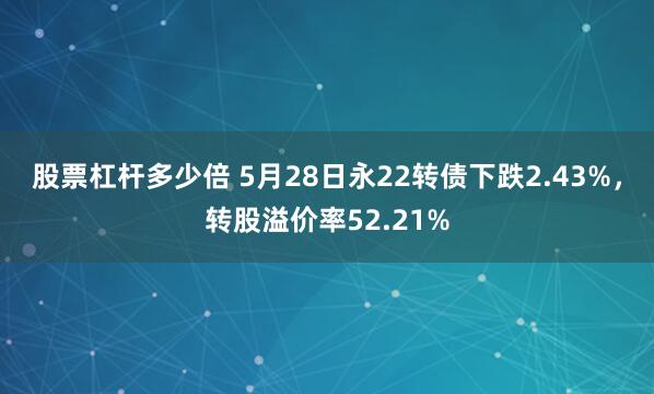股票杠杆多少倍 5月28日永22转债下跌2.43%，转股溢价率52.21%