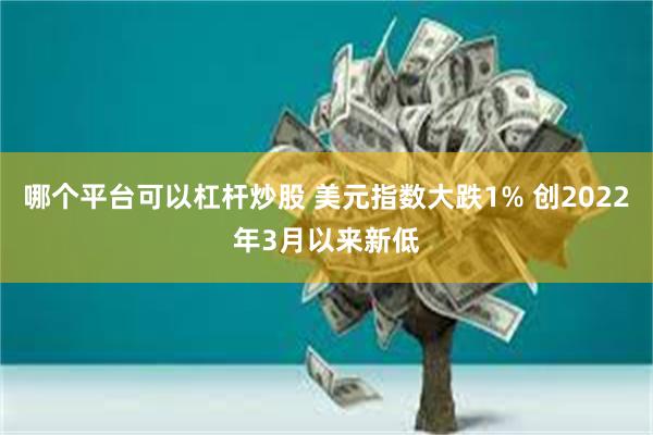 哪个平台可以杠杆炒股 美元指数大跌1% 创2022年3月以来新低